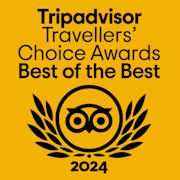 Tripadvisor Travellers' Choice Awards Logo