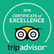Tripadvisor Logo